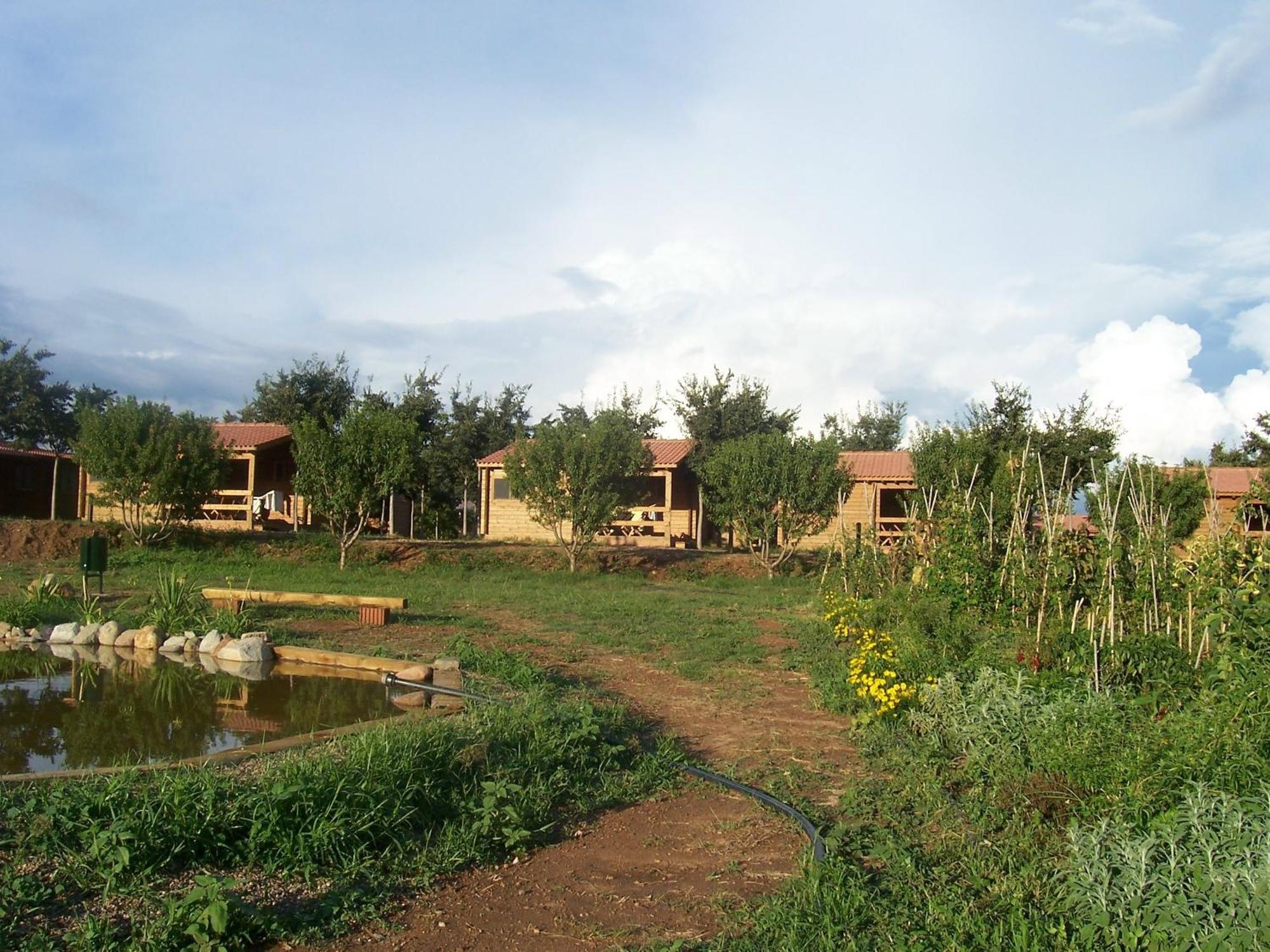 Hotel Ecologic Vinyols Camp à Vinyols i Els Arcs Extérieur photo